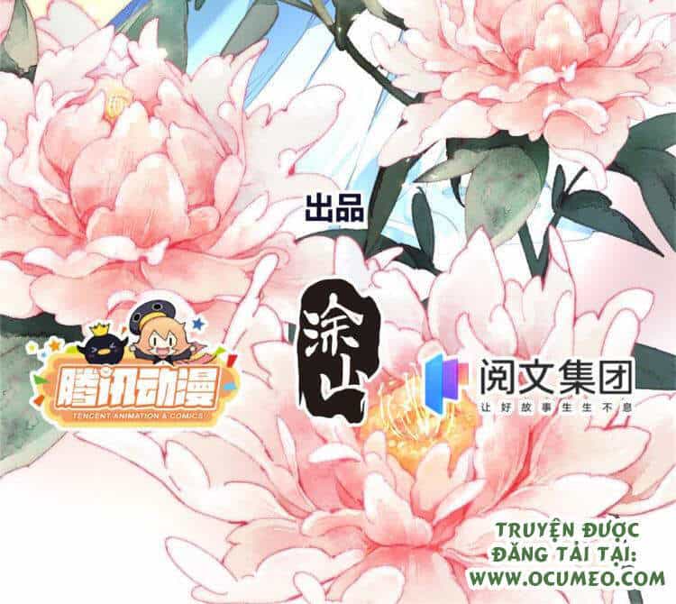Vấn Đan Chu - Chương 20 - ảnh 2