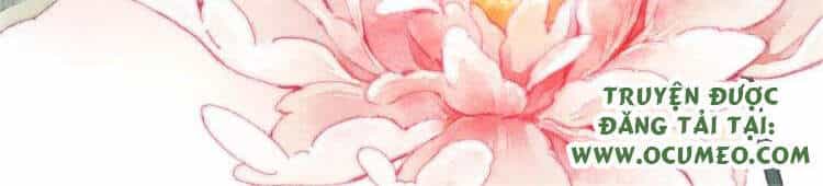 Vấn Đan Chu - Chương 26 - ảnh 2