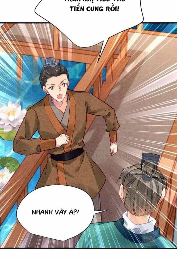 Vấn Đan Chu - Chương 31 - ảnh 27
