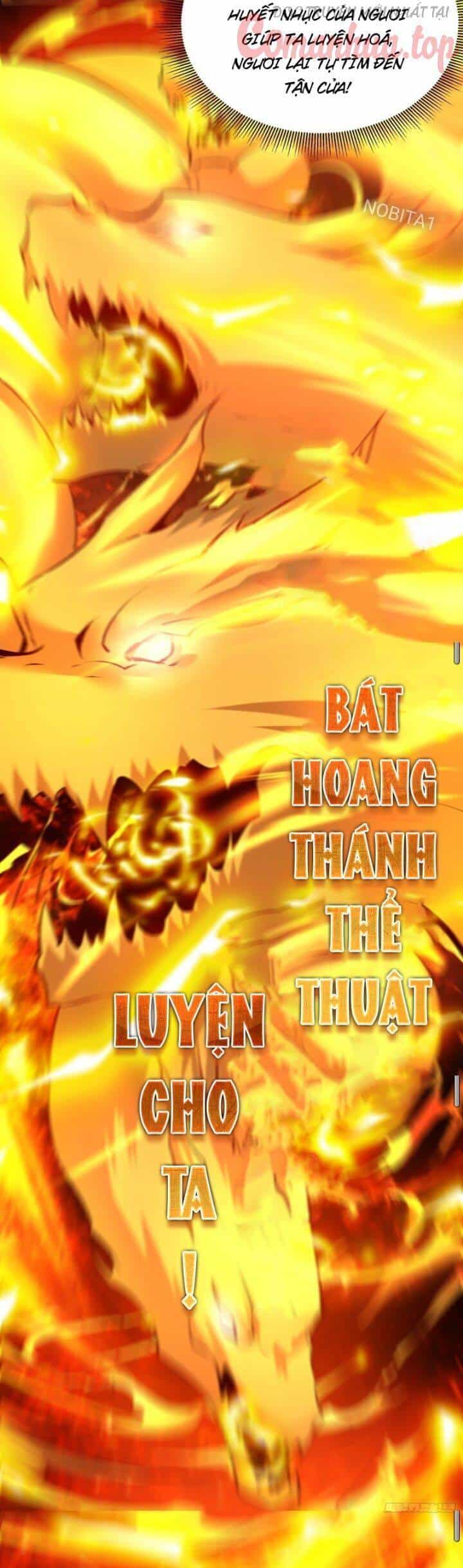 Vạn Đạo Chúa Tể - Chương 31 - ảnh 12