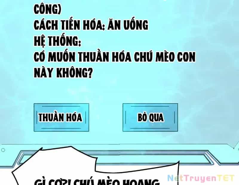 Vạn Tộc Xâm Lược :Mở Đầu Thuần Hóa Cự Thú Cấp Sử Thi - Chương 8 - ảnh 107