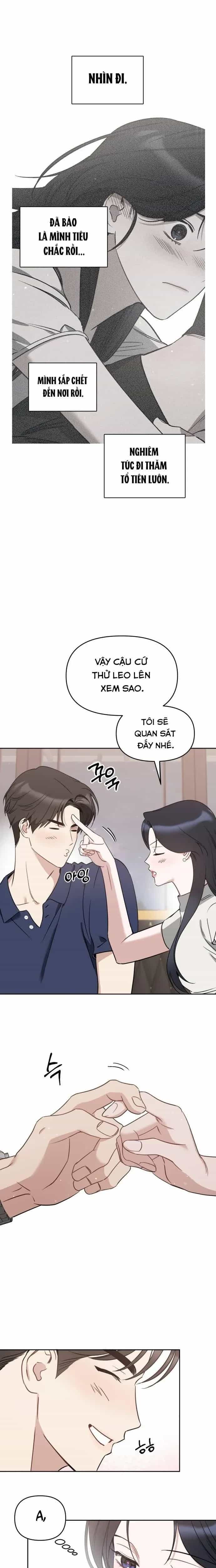 Vận Xui Chốn Công Sở - Chương 99 - ảnh 5