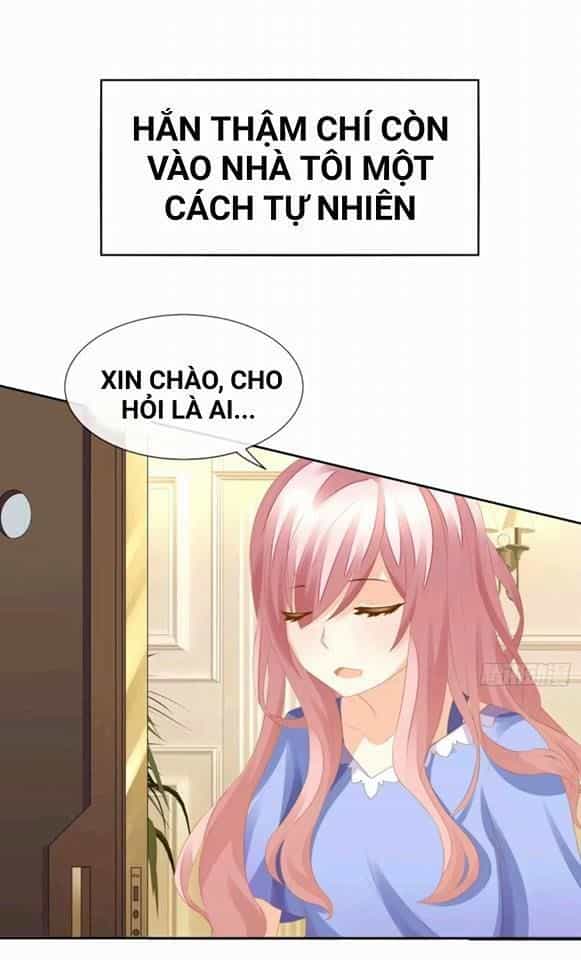 Vật Nuôi Đáng Yêu: Mèo Cỏ Của Tôi - Chương 0 - ảnh 20