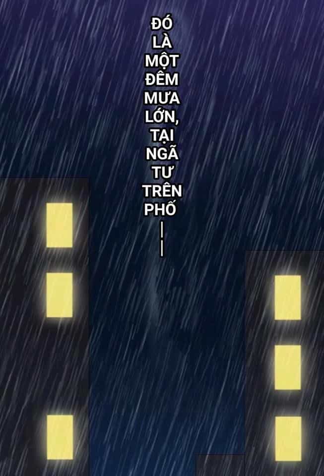 Vật Nuôi Đáng Yêu: Mèo Cỏ Của Tôi - Chương 0 - ảnh 3