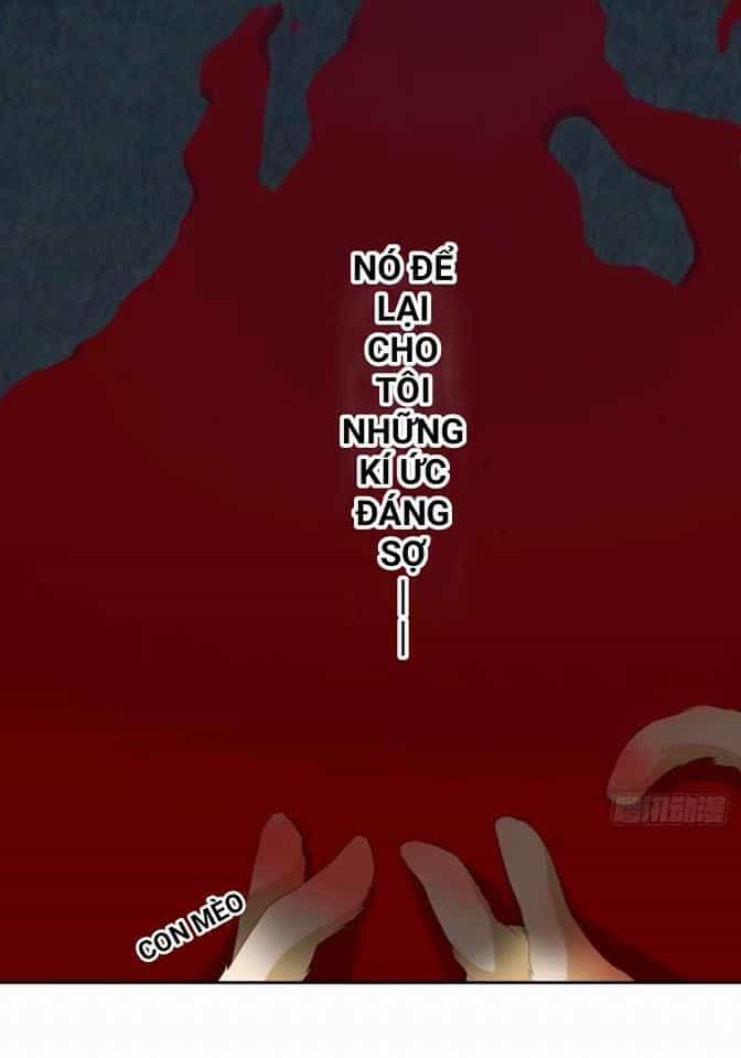 Vật Nuôi Đáng Yêu: Mèo Cỏ Của Tôi - Chương 0 - ảnh 7