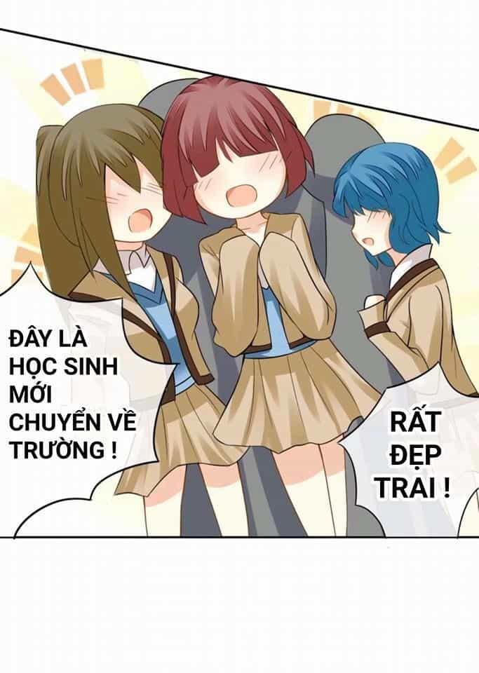 Vật Nuôi Đáng Yêu: Mèo Cỏ Của Tôi - Chương 1 - ảnh 38