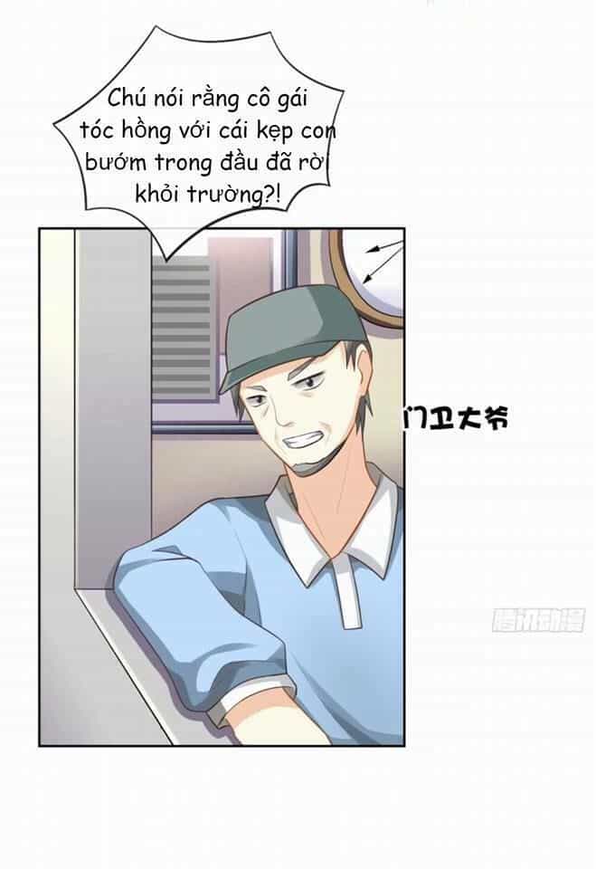 Vật Nuôi Đáng Yêu: Mèo Cỏ Của Tôi - Chương 3 - ảnh 32