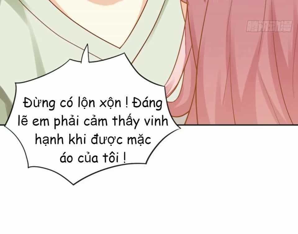 Vật Nuôi Đáng Yêu: Mèo Cỏ Của Tôi - Chương 4 - ảnh 23