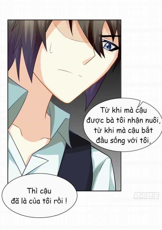 Vật Nuôi Đáng Yêu: Mèo Cỏ Của Tôi - Chương 4 - ảnh 64