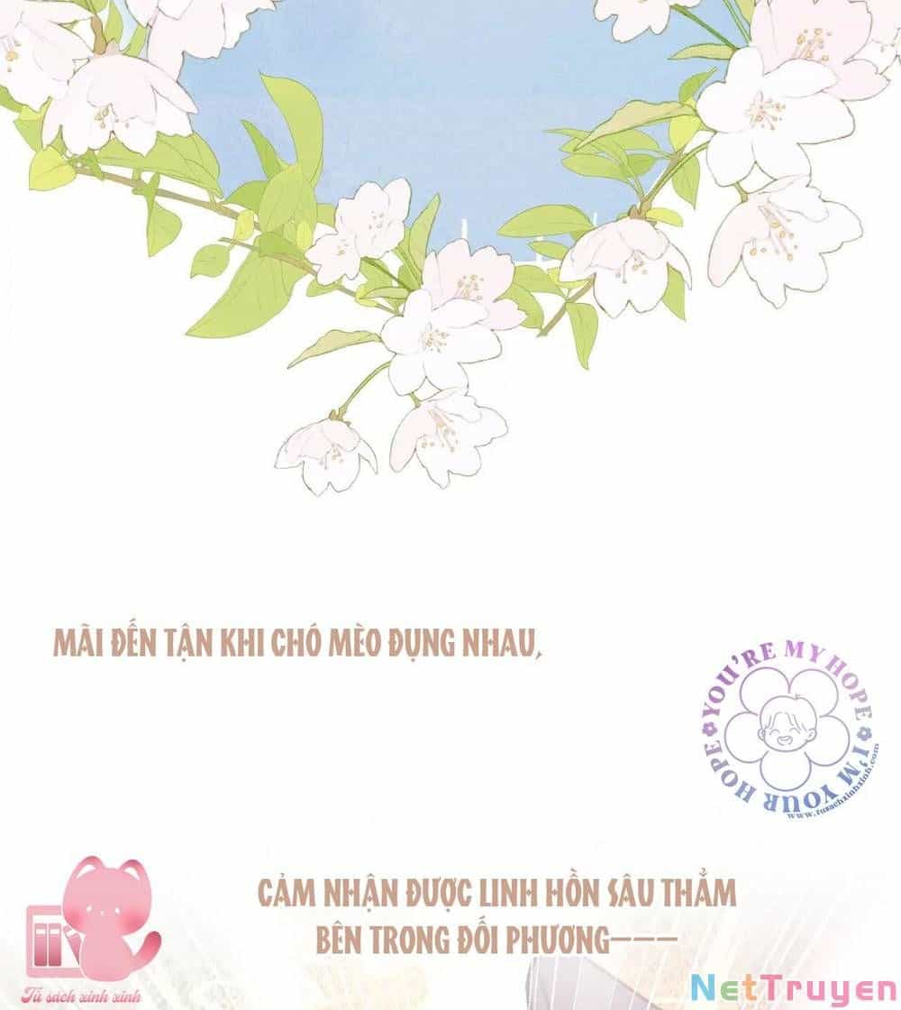 Vi Phu Của Ta Là Long Ngạo Thiên Phần 2 - Chương 32 - ảnh 12