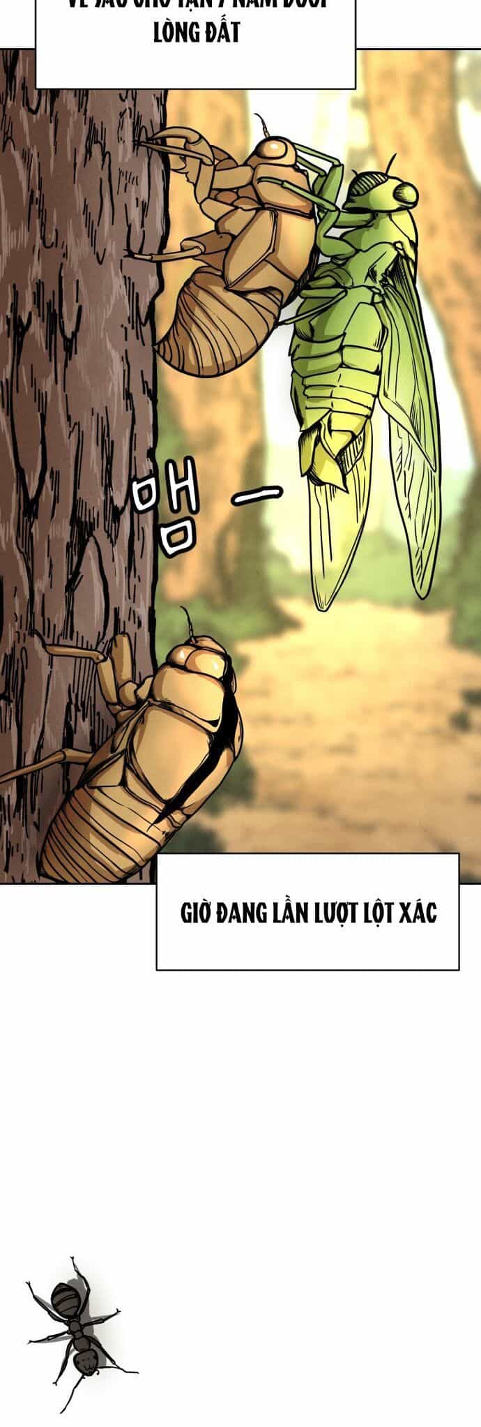 Vỏ Bọc - Chương 1 - ảnh 3