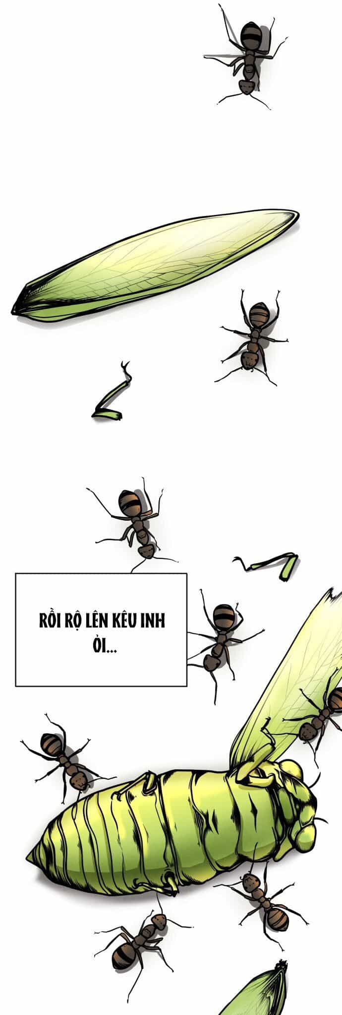 Vỏ Bọc - Chương 1 - ảnh 4