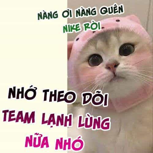 Vợ Của Lục Tổng Không Phải Dạng Vừa - Chương 193 - ảnh 21