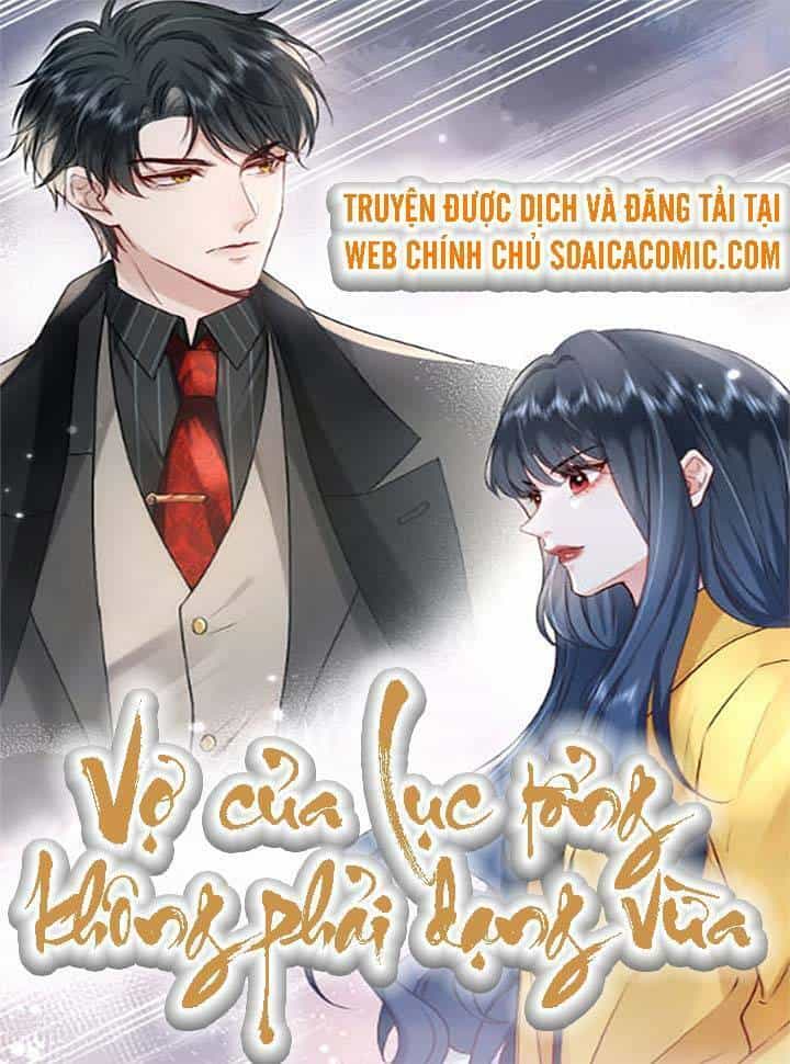Vợ Của Lục Tổng Không Phải Dạng Vừa - Chương 3 - ảnh 1