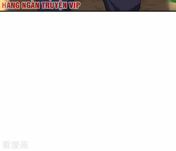 Võ Đạo Độc Tôn - Chương 207 - ảnh 15