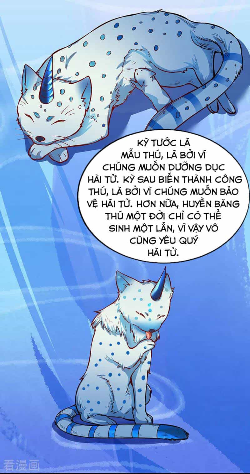 Võ Đạo Độc Tôn - Chương 241 - ảnh 27