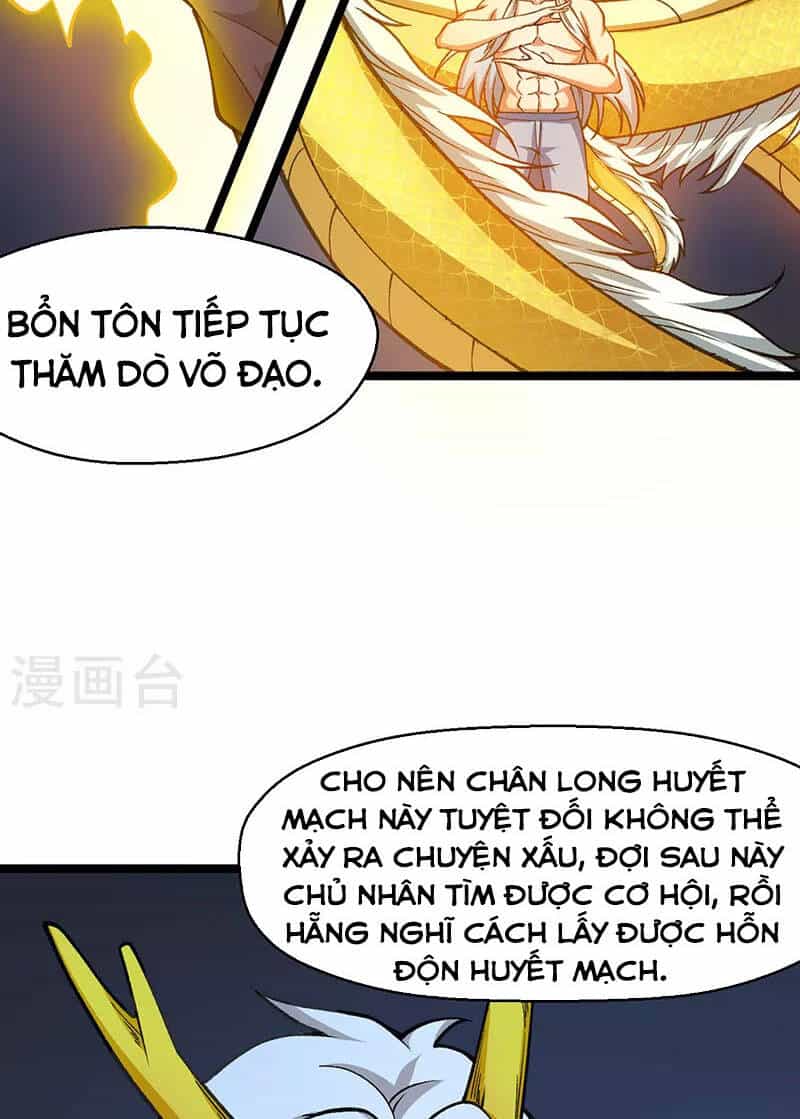 Võ Đạo Độc Tôn - Chương 416 - ảnh 33
