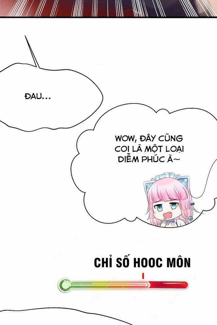 Vô Địch Học Bạ Hệ Thống - Chương 25 - ảnh 19