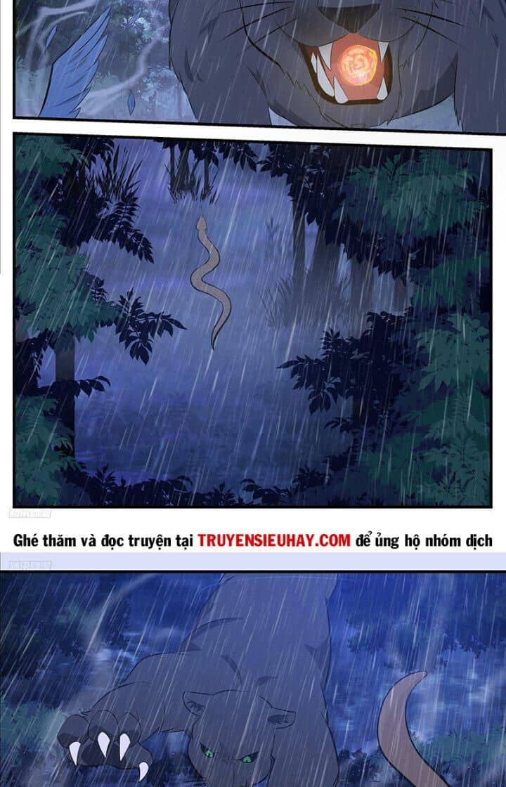 Võ Luyện Đỉnh Phong - Chương 3414 - ảnh 11