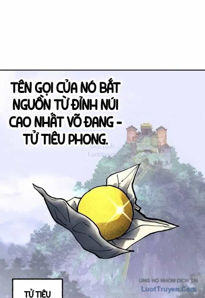 Vô Phạt - Chương 17 - ảnh 17