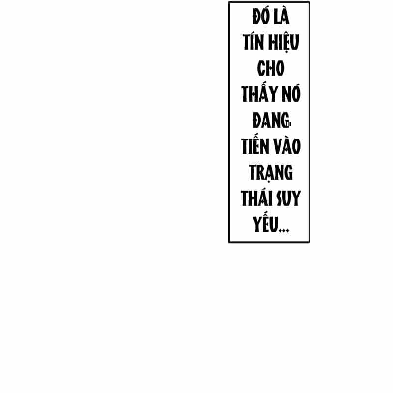 Vô Song Cùng Với Vũ Khí Ẩn - Chương 12 - ảnh 127