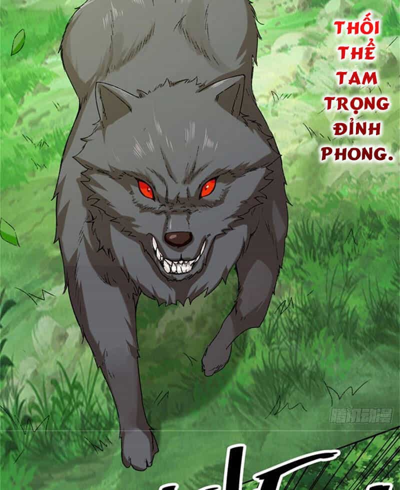 Vô Tận Thôn Phệ - Chương 16 - ảnh 42