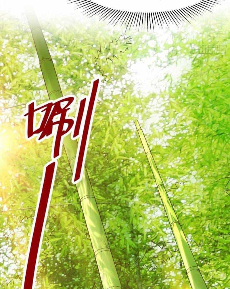 Vô Tận Thôn Phệ - Chương 64 - ảnh 36