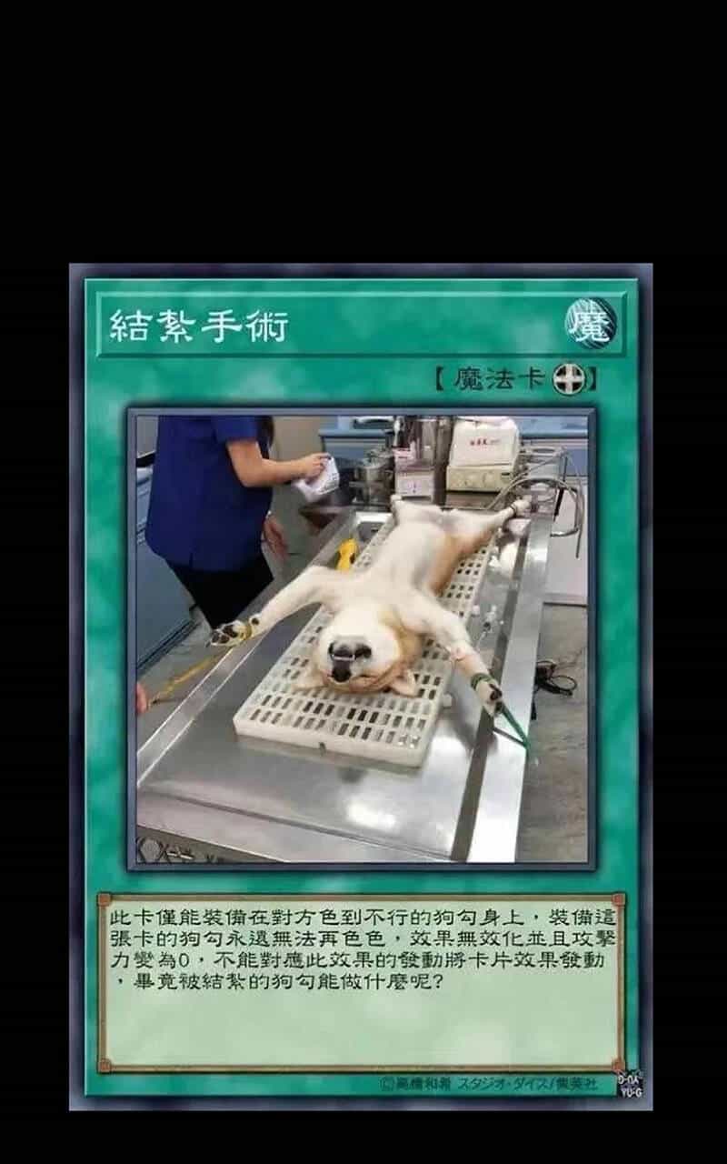 Vú Em Vô Địch - Chương 30 - ảnh 69