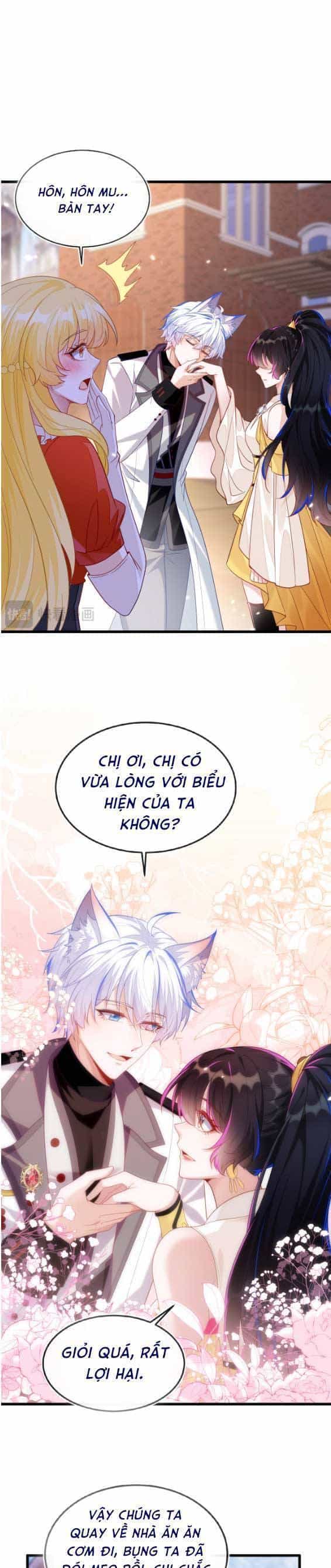Vừa Mới Huỷ Hôn Đã Bị Dã Hồ Ly Lừa Kết Hôn - Chương 9 - ảnh 10