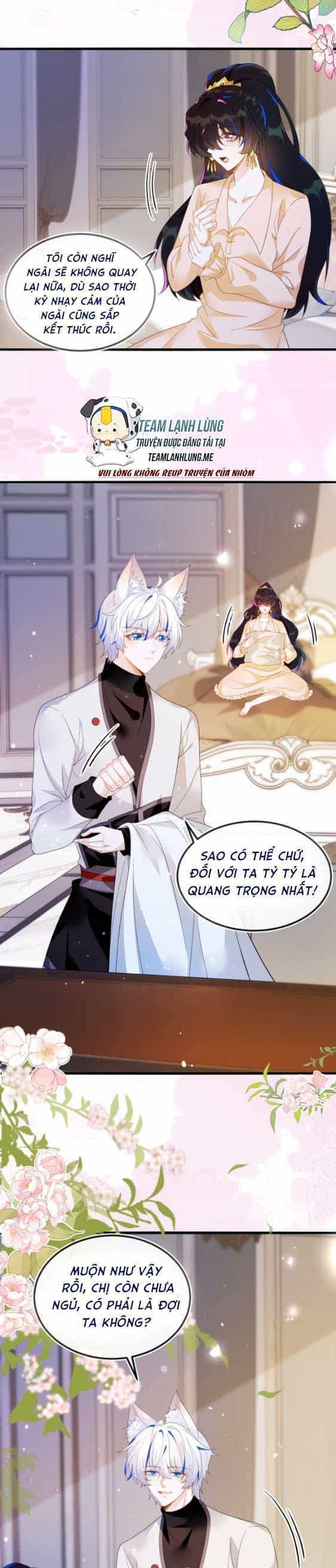Vừa Mới Huỷ Hôn Đã Bị Dã Hồ Ly Lừa Kết Hôn - Chương 10 - ảnh 19
