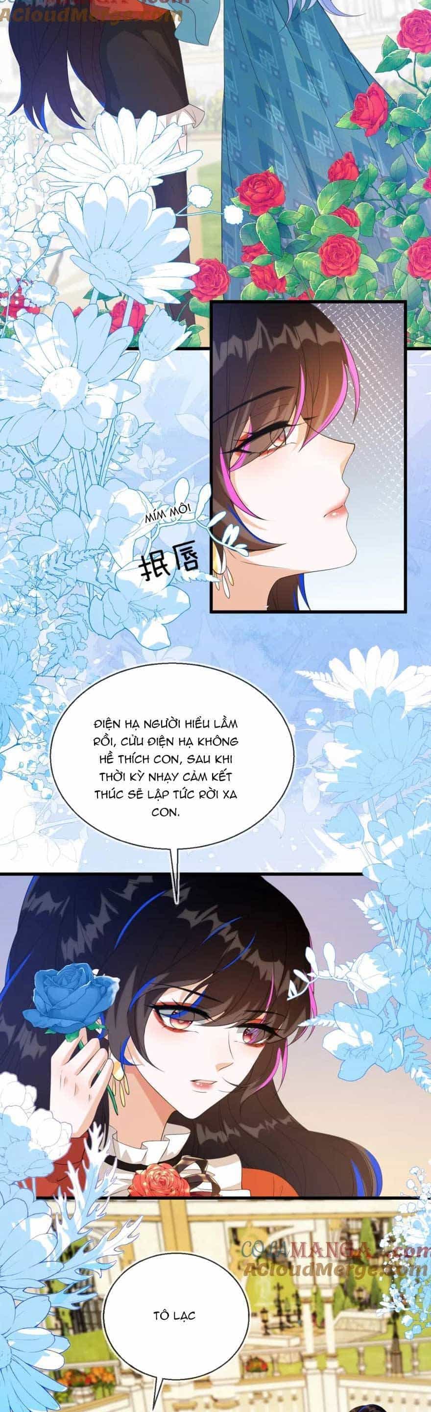 Vừa Mới Huỷ Hôn Đã Bị Dã Hồ Ly Lừa Kết Hôn - Chương 29 - ảnh 15