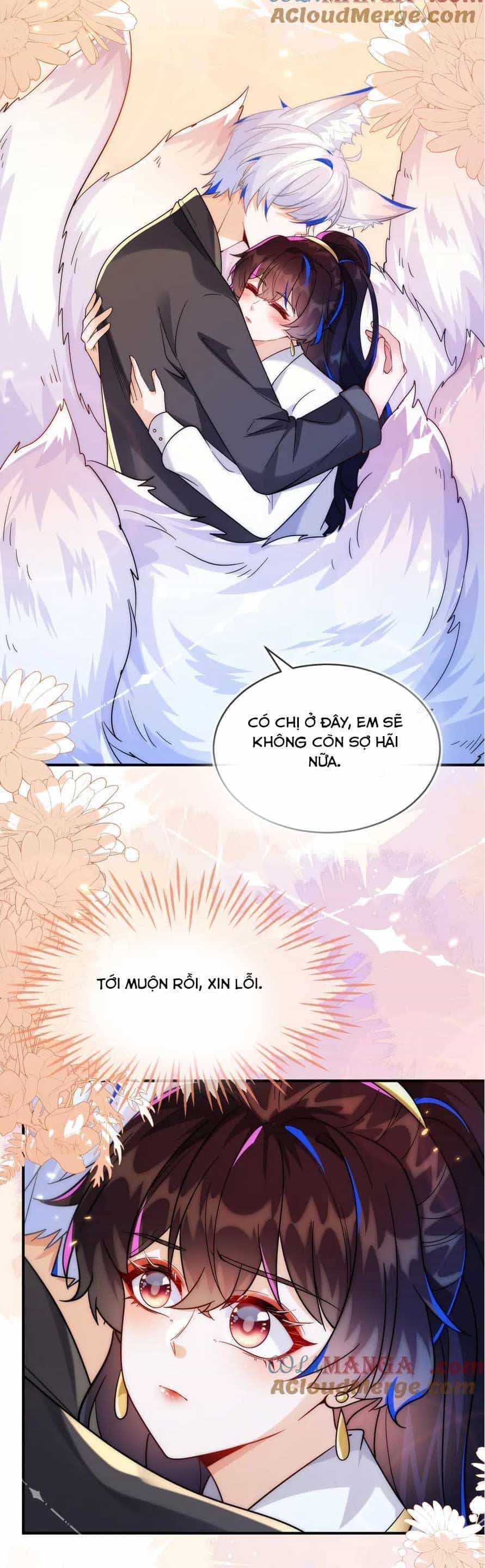 Vừa Mới Huỷ Hôn Đã Bị Dã Hồ Ly Lừa Kết Hôn - Chương 50 - ảnh 26