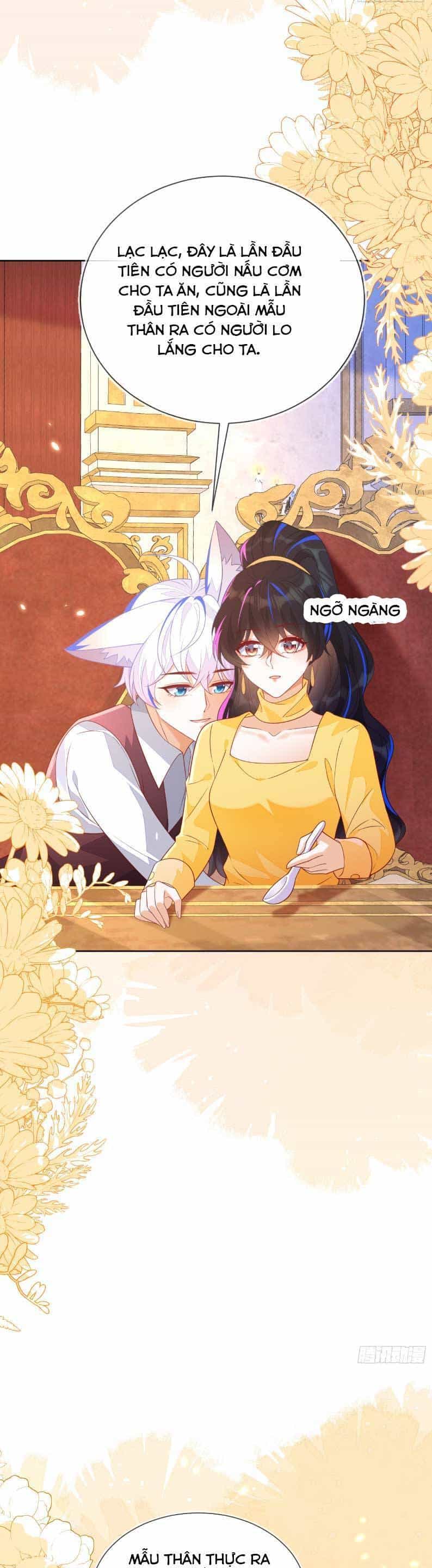 Vừa Mới Huỷ Hôn Đã Bị Dã Hồ Ly Lừa Kết Hôn - Chương 53 - ảnh 16