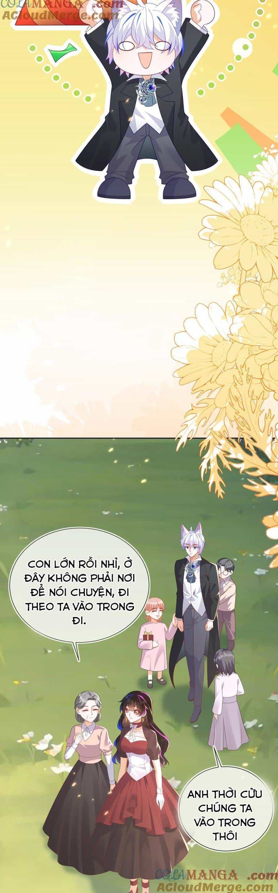 Vừa Mới Huỷ Hôn Đã Bị Dã Hồ Ly Lừa Kết Hôn - Chương 56 - ảnh 16