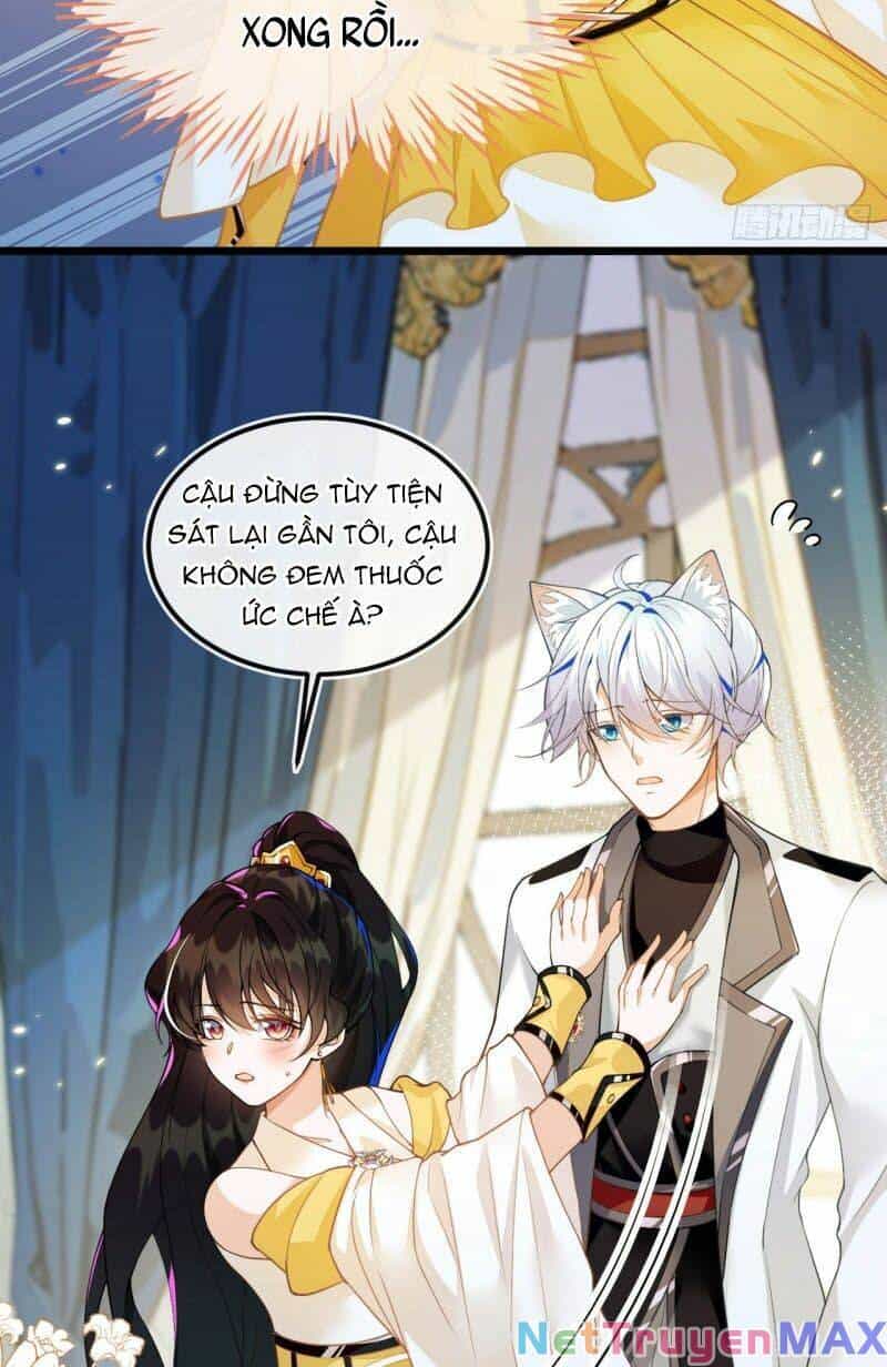 Vừa Từ Hôn Đã Bị Hồ Ly Lừa Vào Cục Dân Chính - Chương 3 - ảnh 12