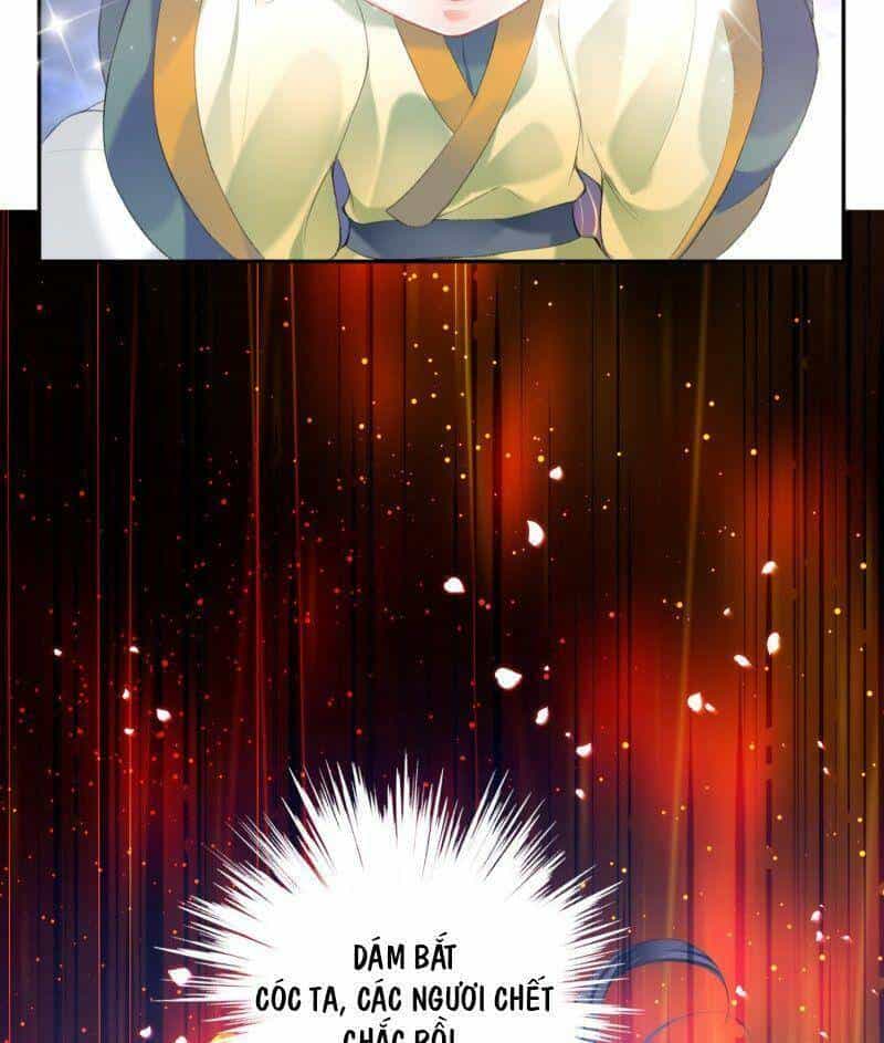 Vương Gia, Áo Lót Của Ngươi Rơi Mất Rồi - Chương 103 - ảnh 28