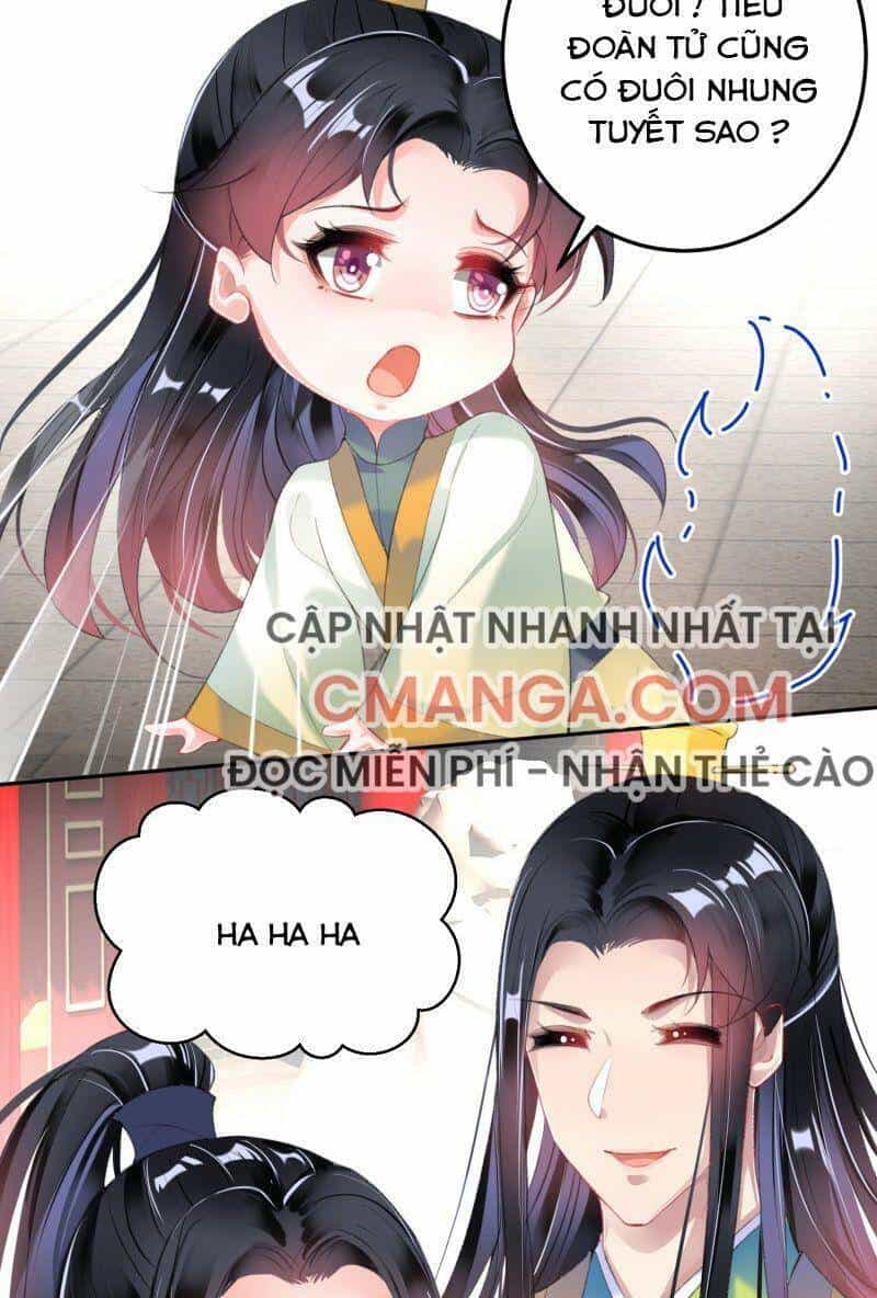 Vương Gia, Áo Lót Của Ngươi Rơi Mất Rồi - Chương 110 - ảnh 12