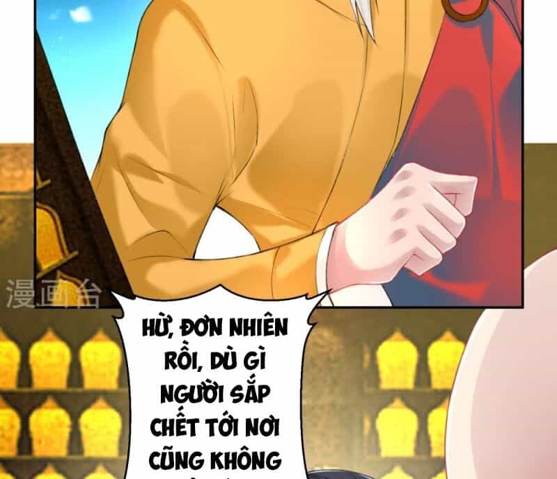 Vương Gia, Áo Lót Của Ngươi Rơi Mất Rồi - Chương 56 - ảnh 27
