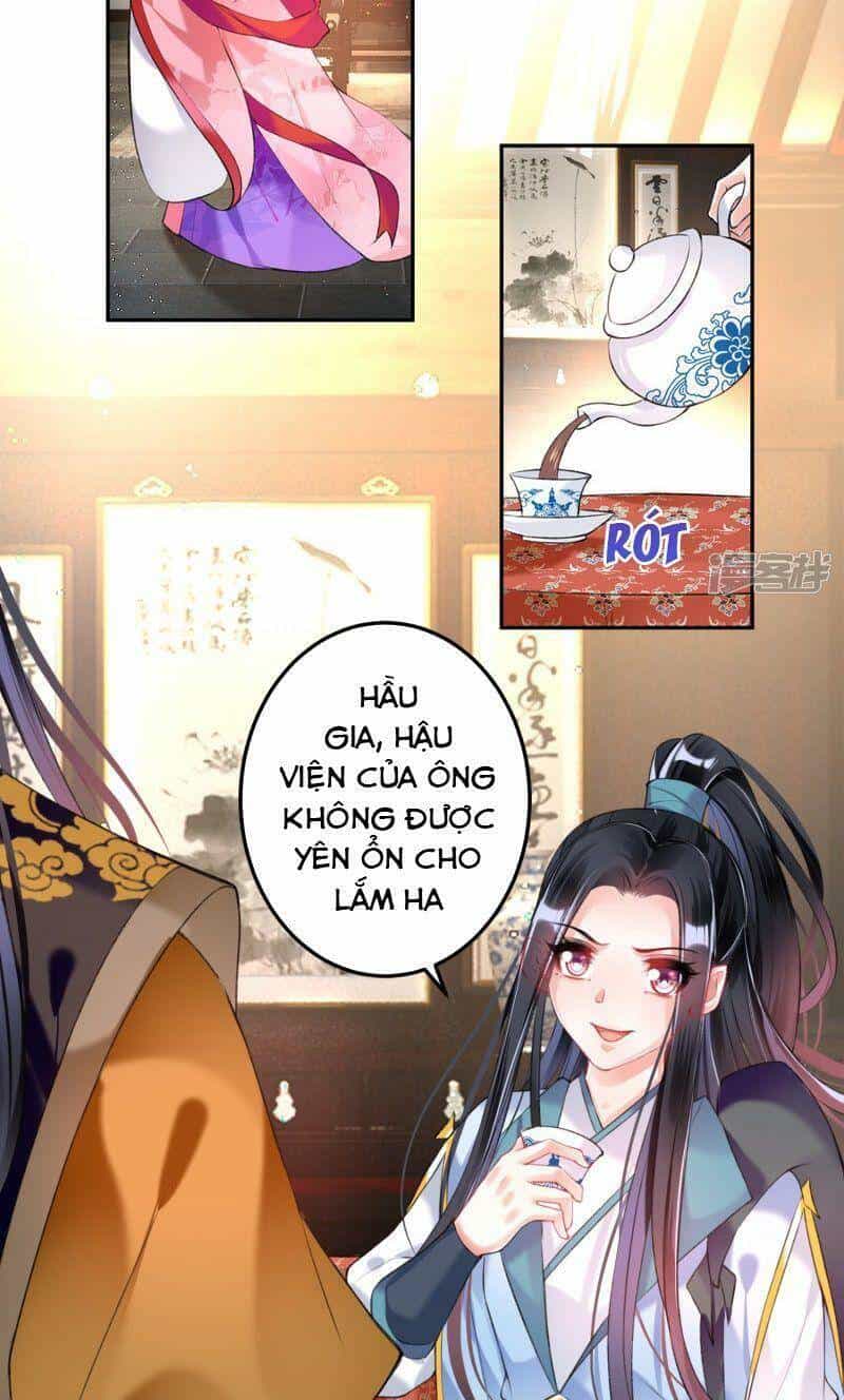 Vương Gia, Áo Lót Của Ngươi Rơi Mất Rồi - Chương 72 - ảnh 7