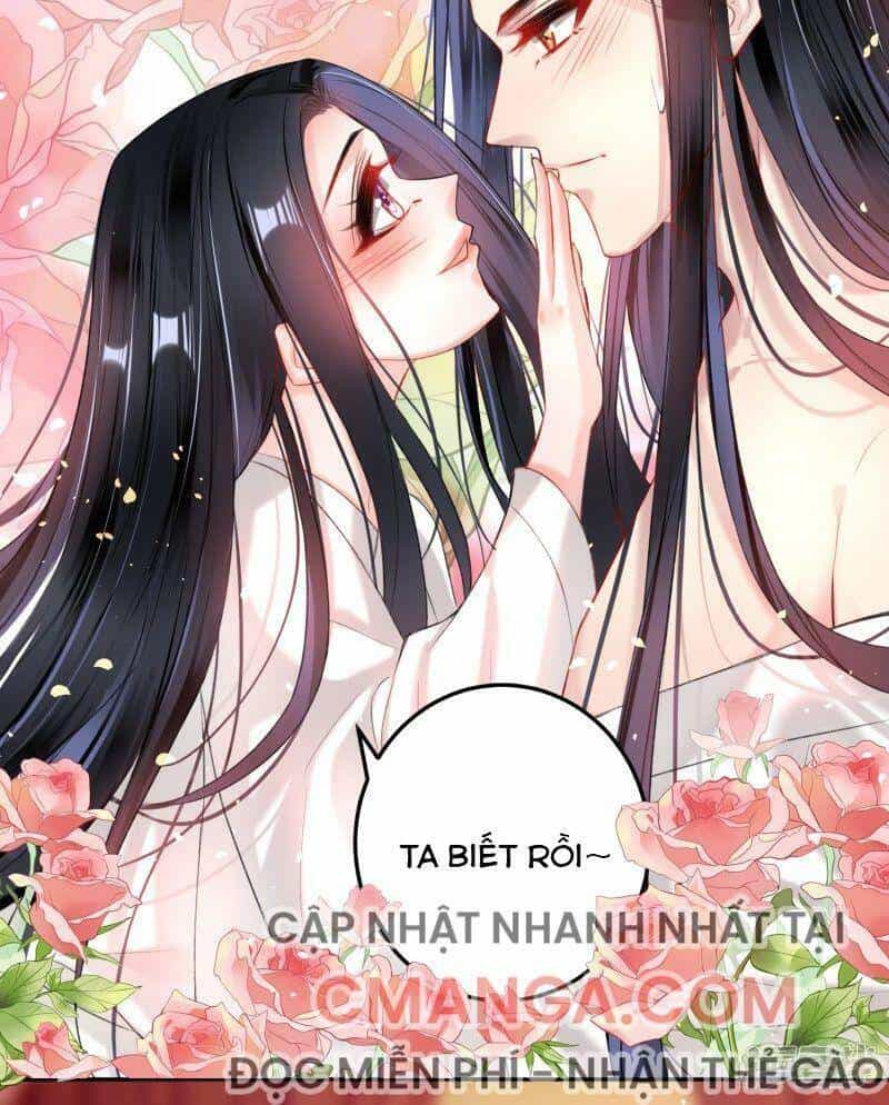 Vương Gia, Áo Lót Của Ngươi Rơi Mất Rồi - Chương 83 - ảnh 10