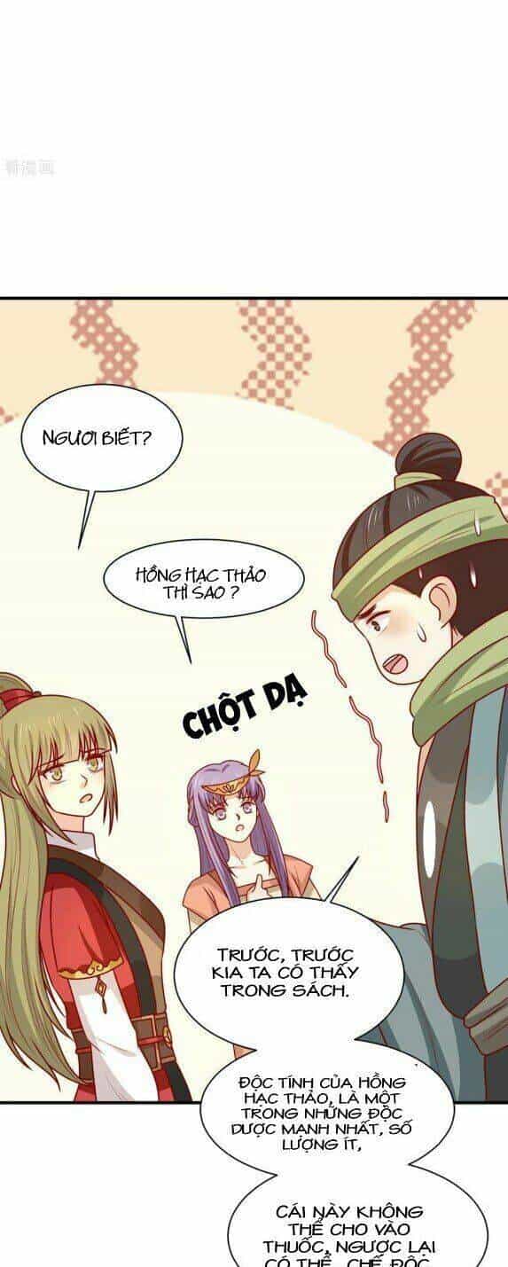 Vương Gia Người Ta Sẽ Giảm Béo Mà!!! - Chương 174 - ảnh 10