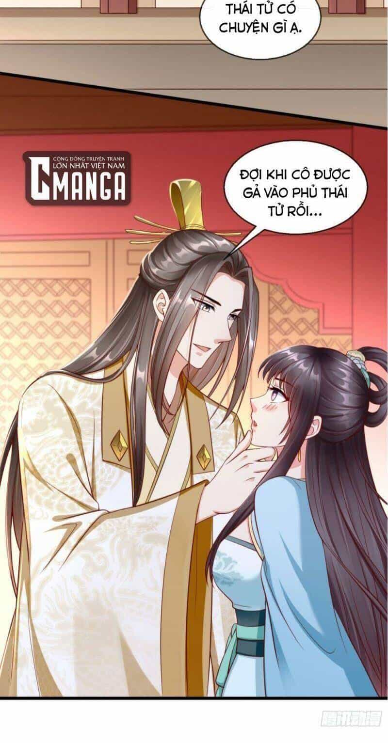 Vương Phi Là Đoá Bạch Liên Hoa - Chương 28 - ảnh 3