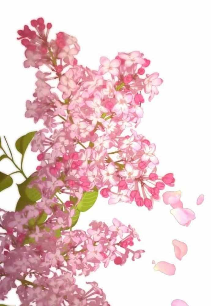Winterbell - Chương 42 - ảnh 92