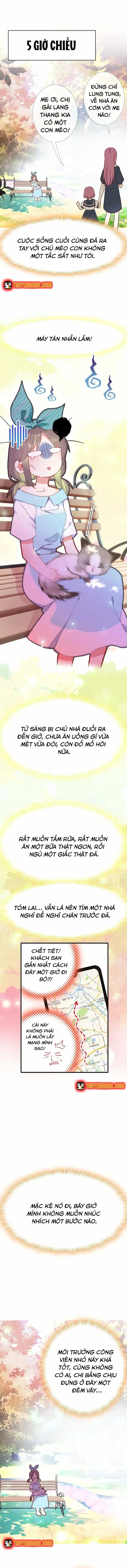 Xách Mèo Vào Ở - Chương 2 - ảnh 3