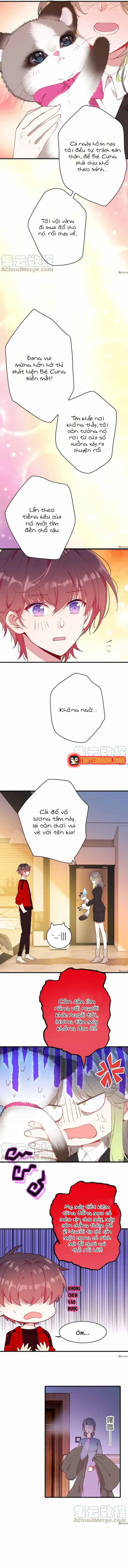 Xách Mèo Vào Ở - Chương 7 - ảnh 6