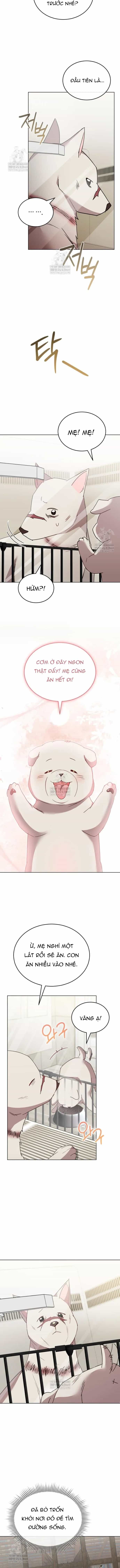 Xin Chào! Bác Sĩ Thú Y - Chương 113 - ảnh 11