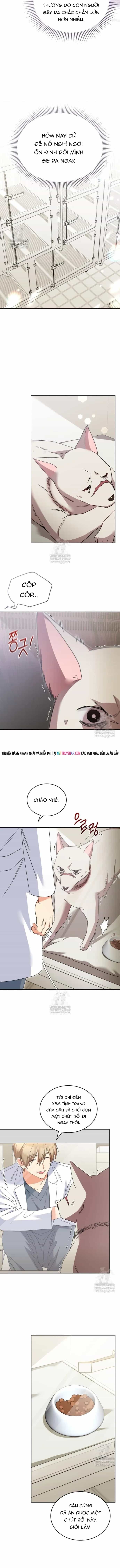 Xin Chào! Bác Sĩ Thú Y - Chương 114 - ảnh 7