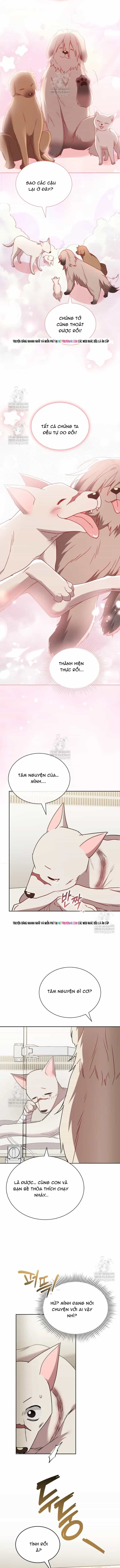 Xin Chào! Bác Sĩ Thú Y - Chương 120 - ảnh 11