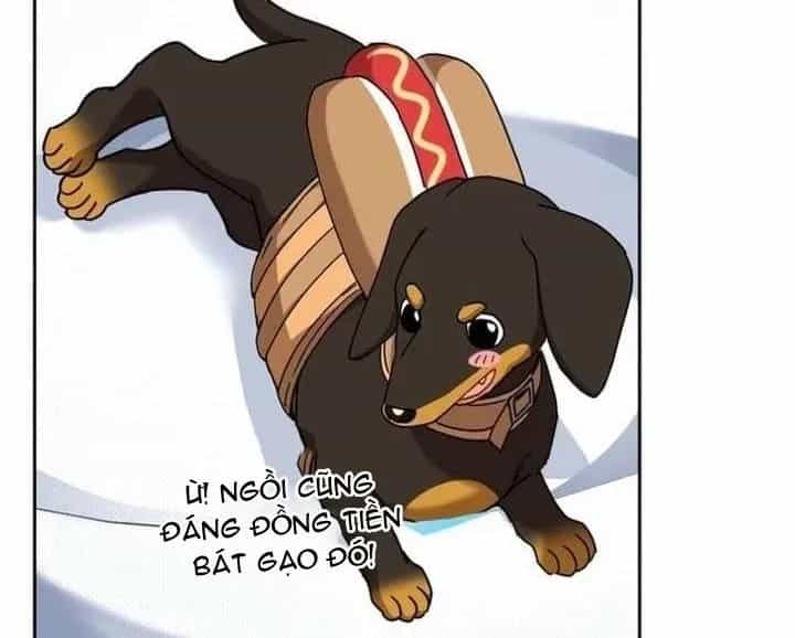 Xin Chào! Bác Sĩ Thú Y - Chương 129 - ảnh 64