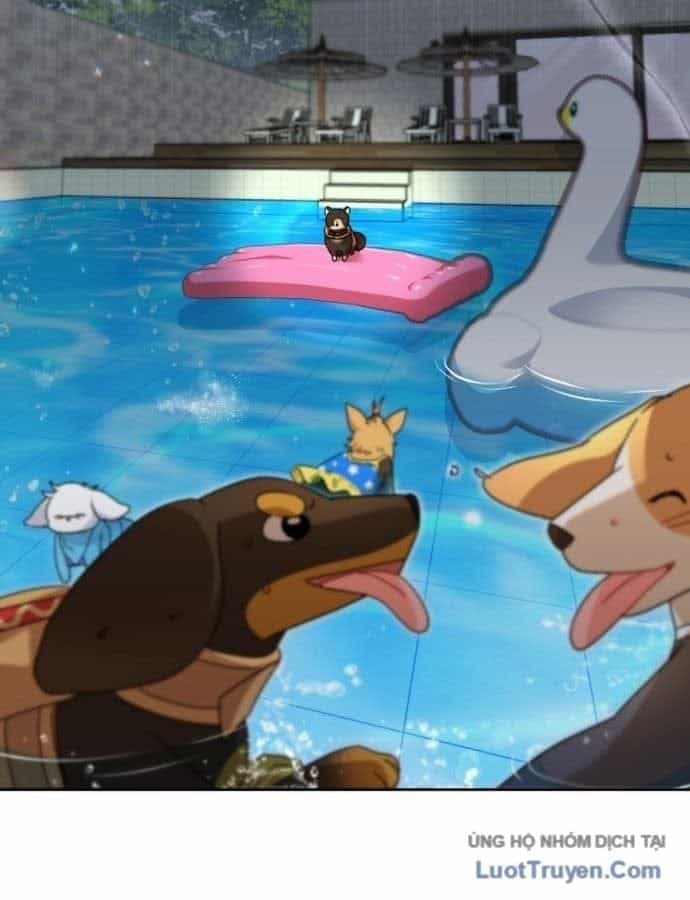 Xin Chào! Bác Sĩ Thú Y - Chương 130 - ảnh 62